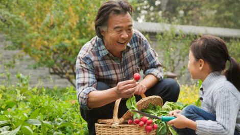 a grandfather hands his granddaughter a red radish from his garden