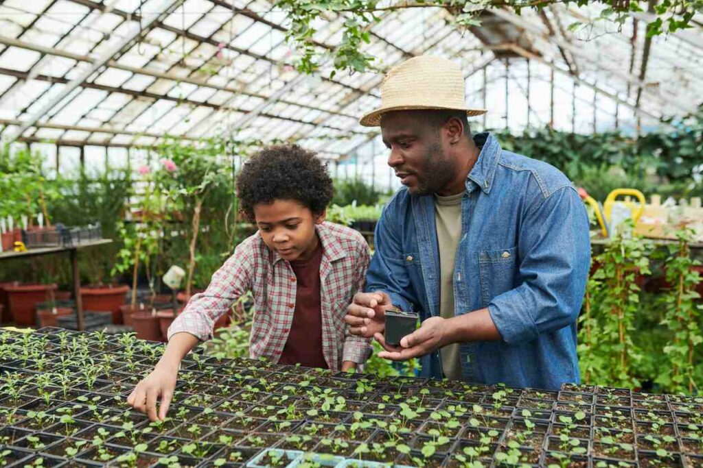 a father and son pick out plant transplants at a nursery
