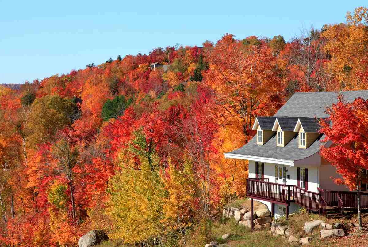 House on the side of a hill surrounded by trees in fall