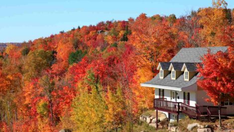 House on the side of a hill surrounded by trees in fall